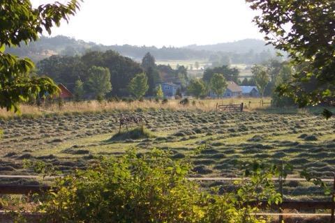 3095 Burrell Road Medford, OR 97501 - Photo 70 of 70 Hay