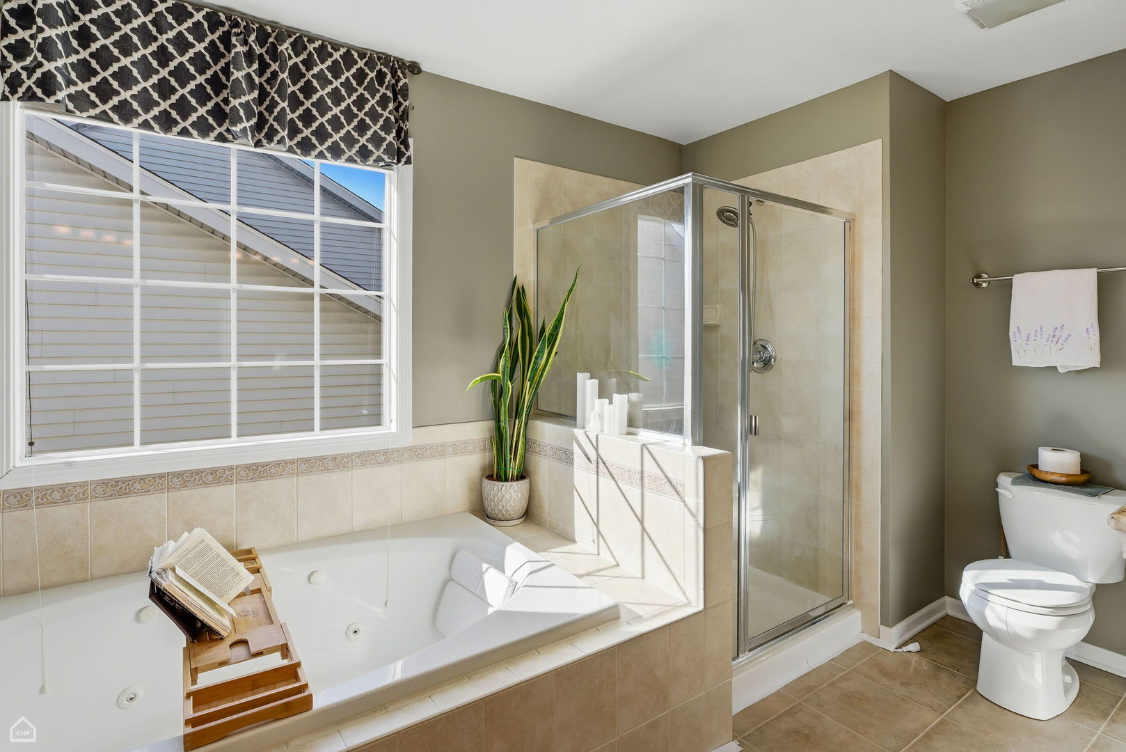 1190 Alpine Lane Elgin, IL 60120 - Photo 22 of 60
