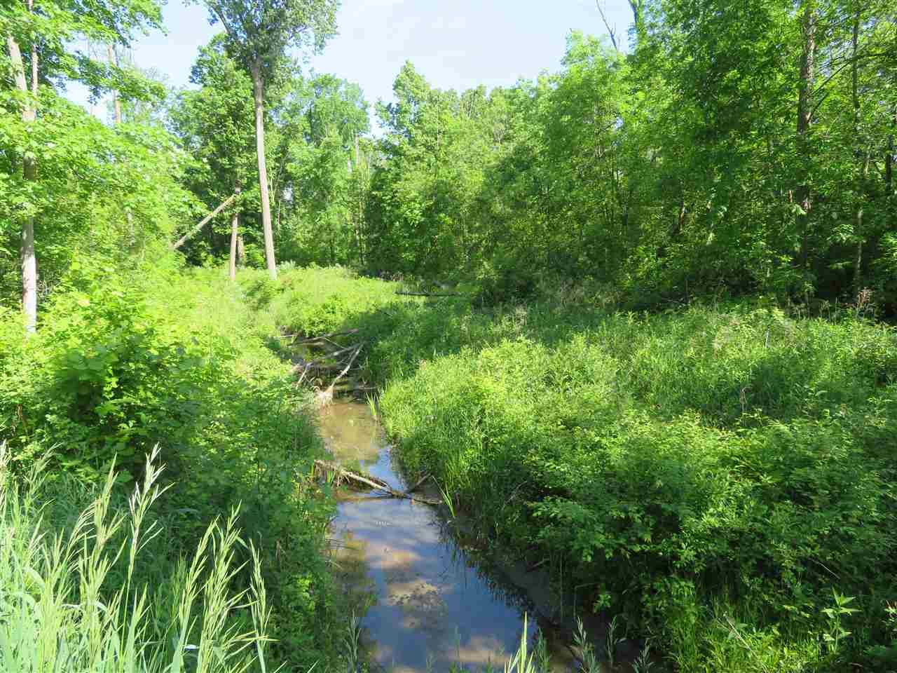 0 Howell Road Otter Lake, MI 48464 - Photo 2 of 9