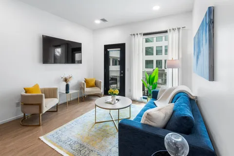 a living room with furniture and a potted plant