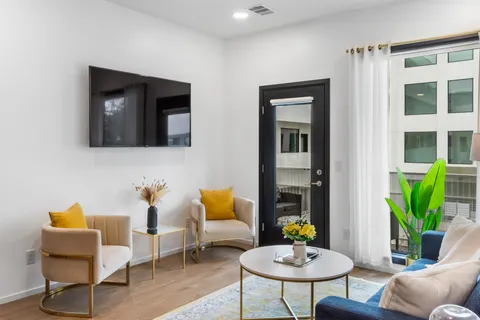 a living room with furniture and a potted plant