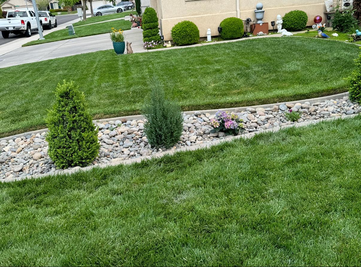 1606 Rohde Drive Stockton, CA 95209 - Photo 2 of 9