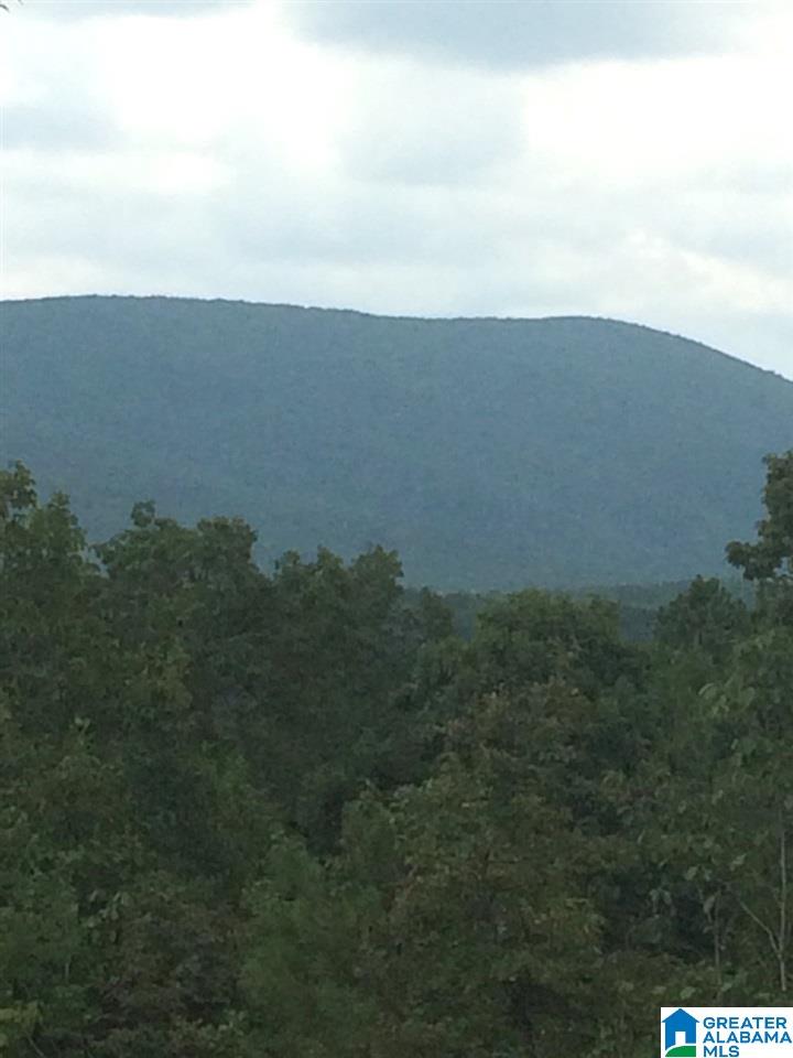 22-acres Clairmont Springs Road, Unit 22 ACRES Lineville, AL 36266 - Photo 11 of 16