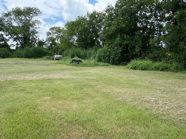 a view of a field with trees in background