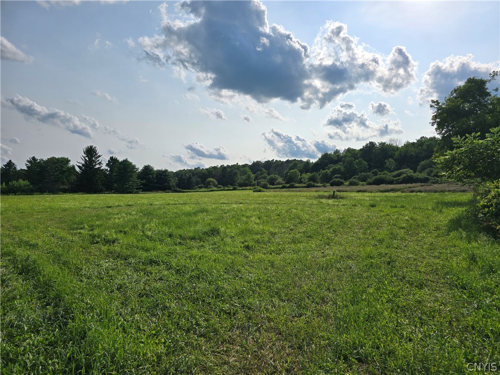 Berry Road La Fayette, NY 13084 - Photo 6 of 9 Gallery Image 6
