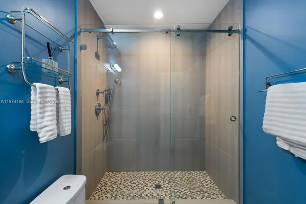 a bathroom with a shower and a toilet