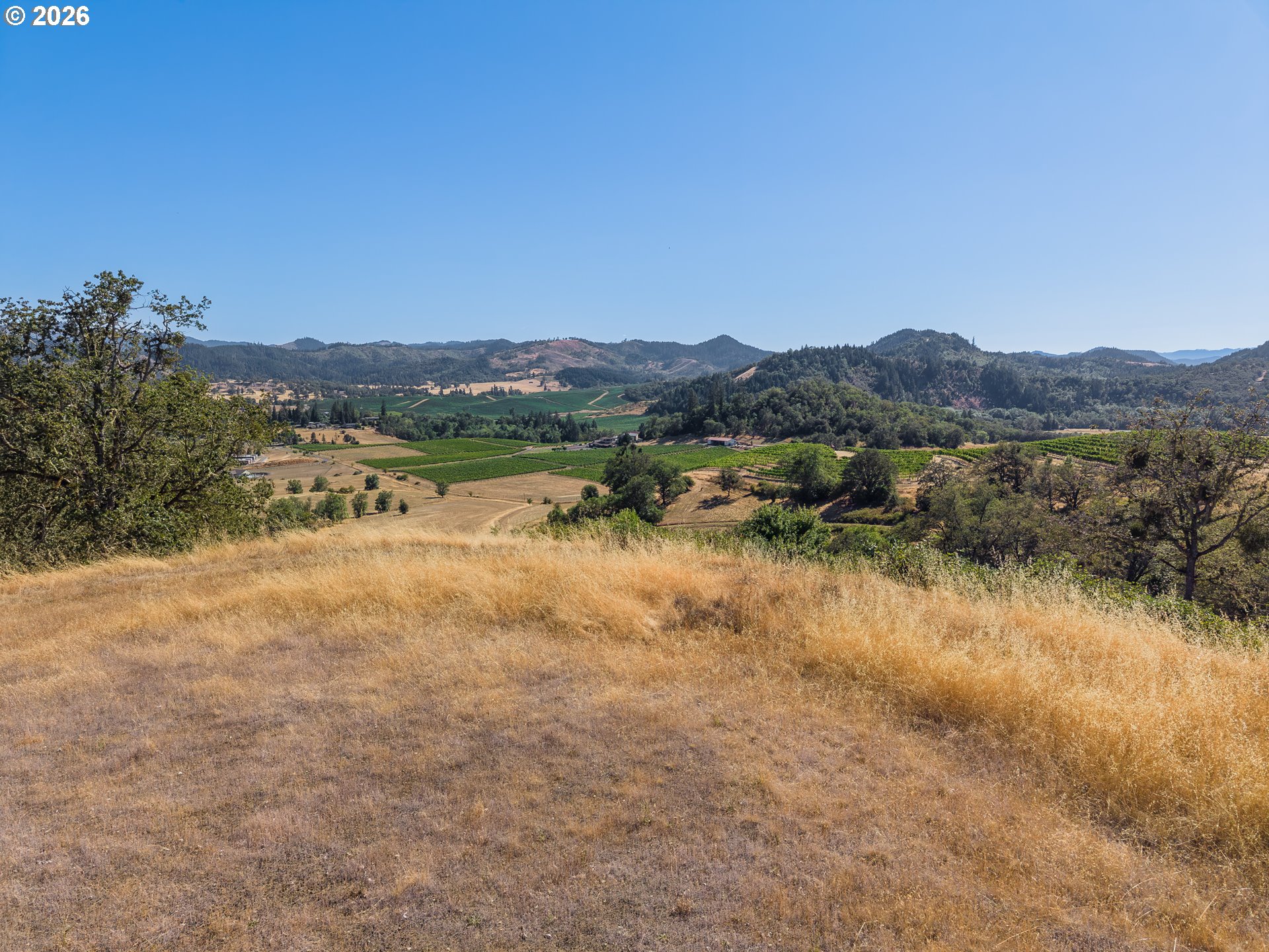 0 Lookingglass Road, Unit TL 203 Winston, OR 97496 - Photo 3 of 10