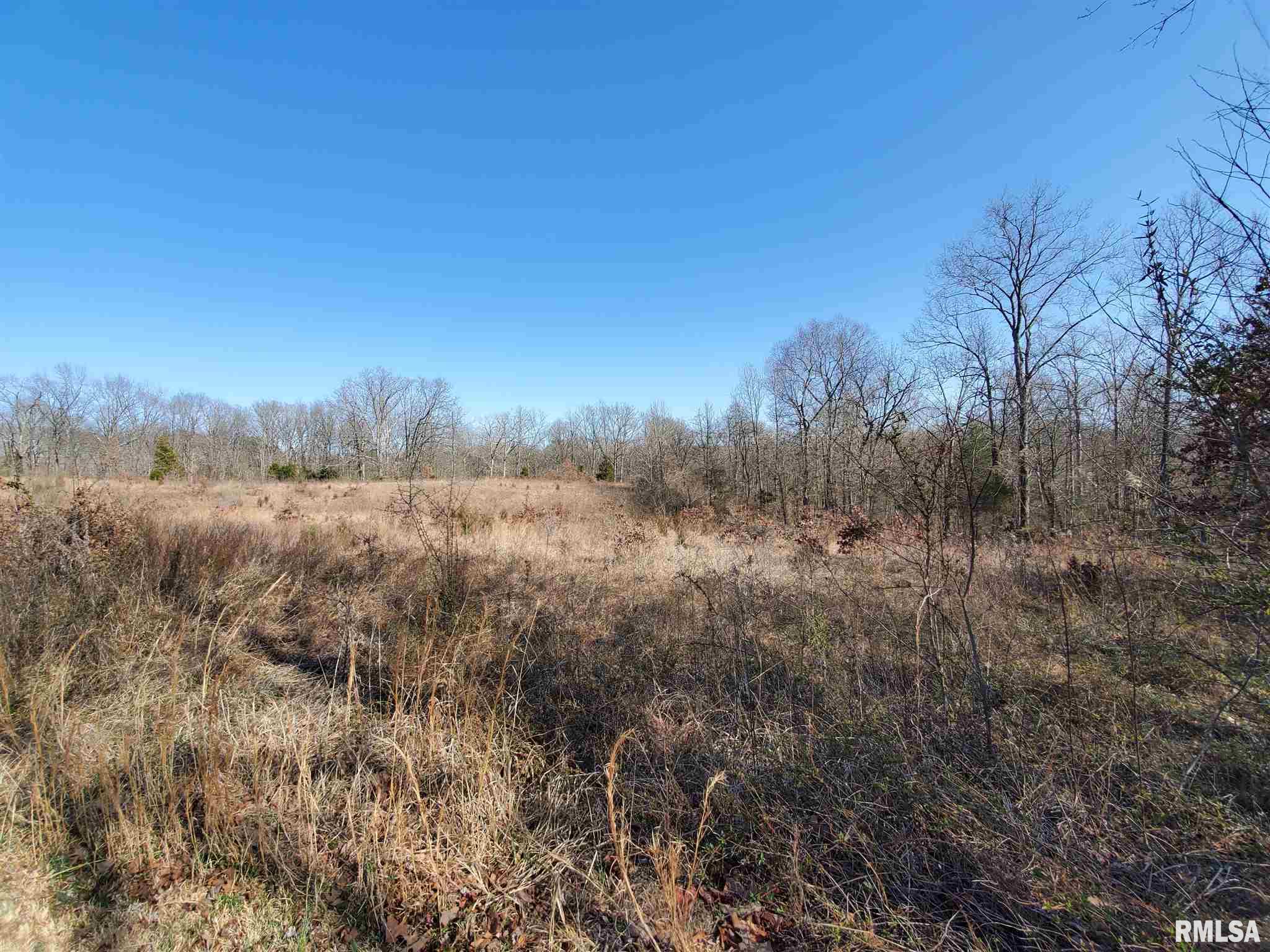 2080 Tyler Bridge Road Creal Springs, IL 62922 - Photo 12 of 42