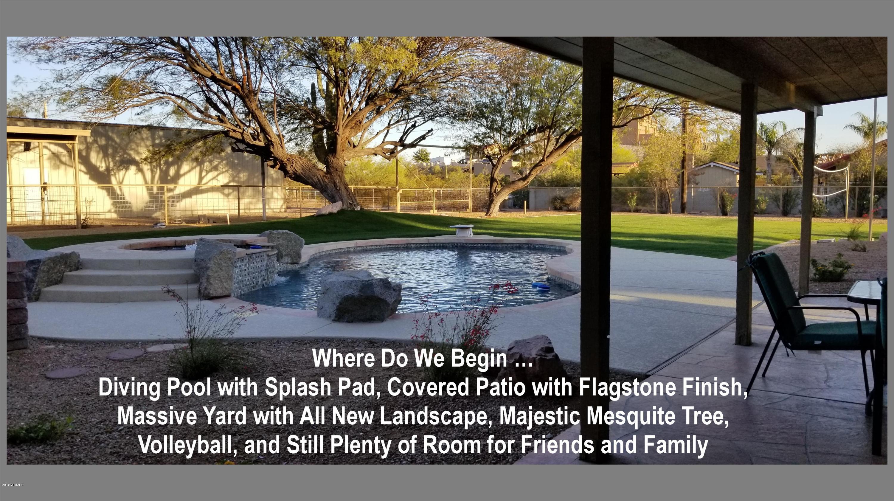 10711 East Adobe Road Mesa, AZ 85207 - Photo 38 of 49 Diving Pool