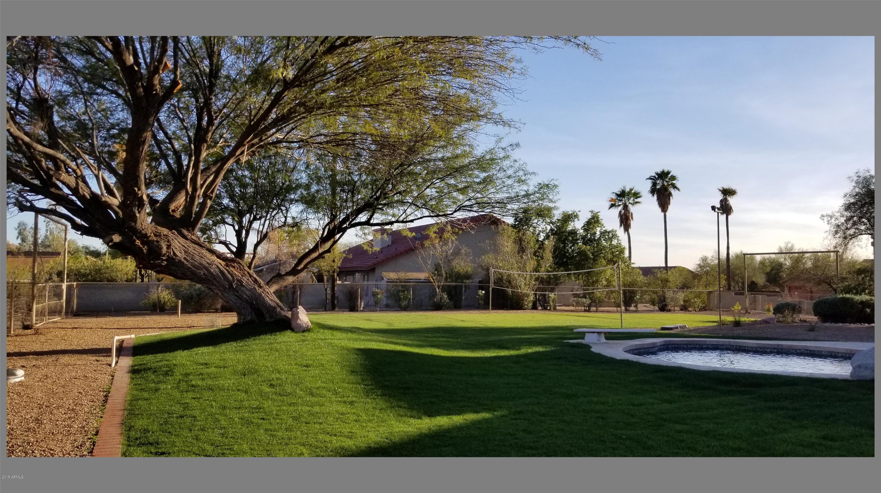 10711 East Adobe Road Mesa, AZ 85207 - Photo 42 of 49 Back Yard