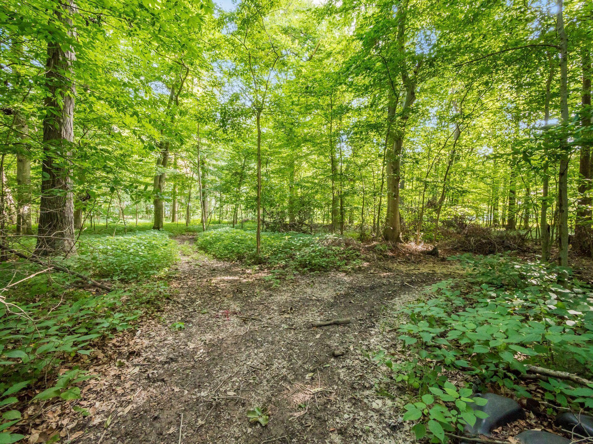 6690 Mccurdy Road Delaware, OH 43015 - Photo 6 of 61 Wooded Trails!