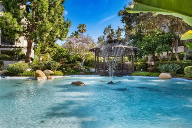 a view of a park with large trees