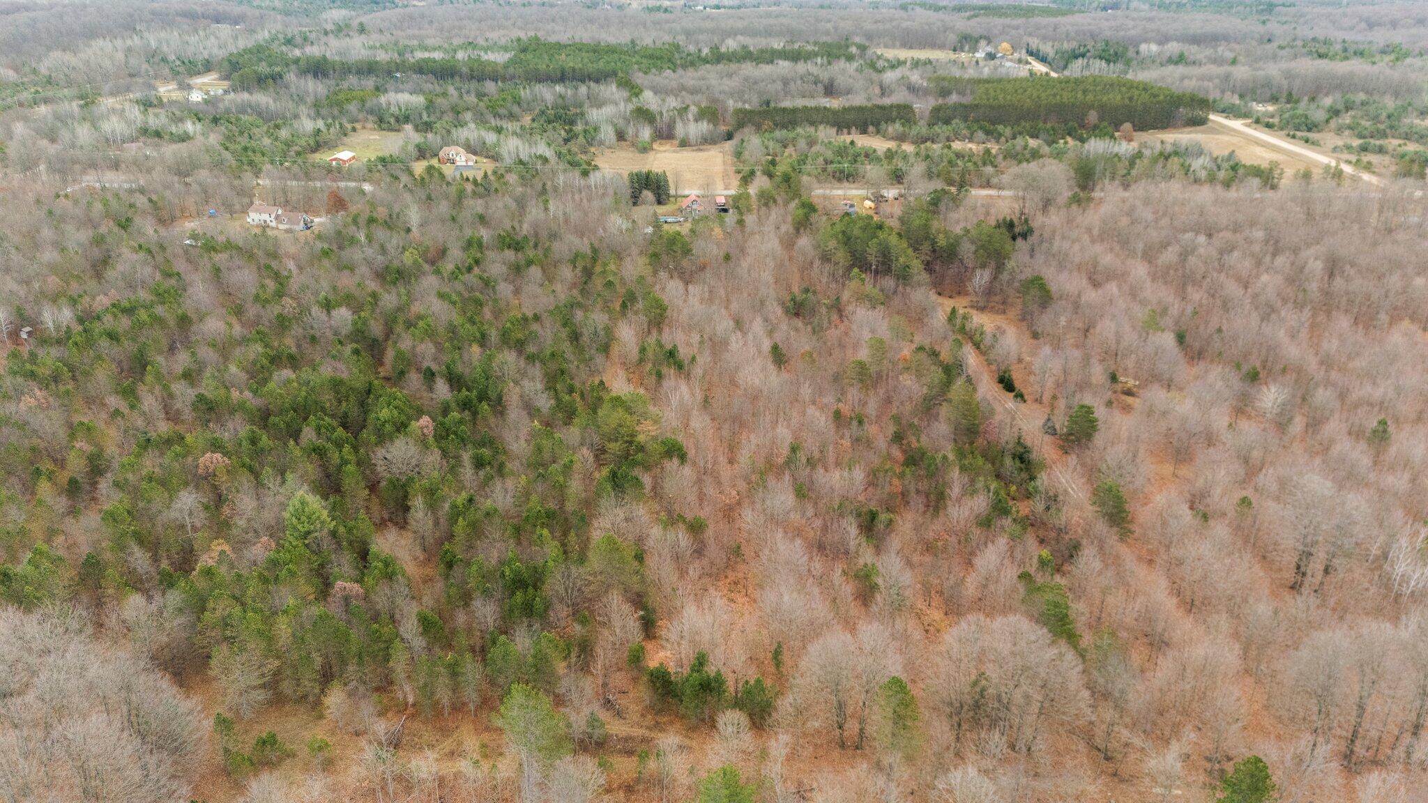 18218 Litzen Road Copemish, MI 49625 - Photo 12 of 88 12-web-or-mls-DJI_20241124151609_0376_D_