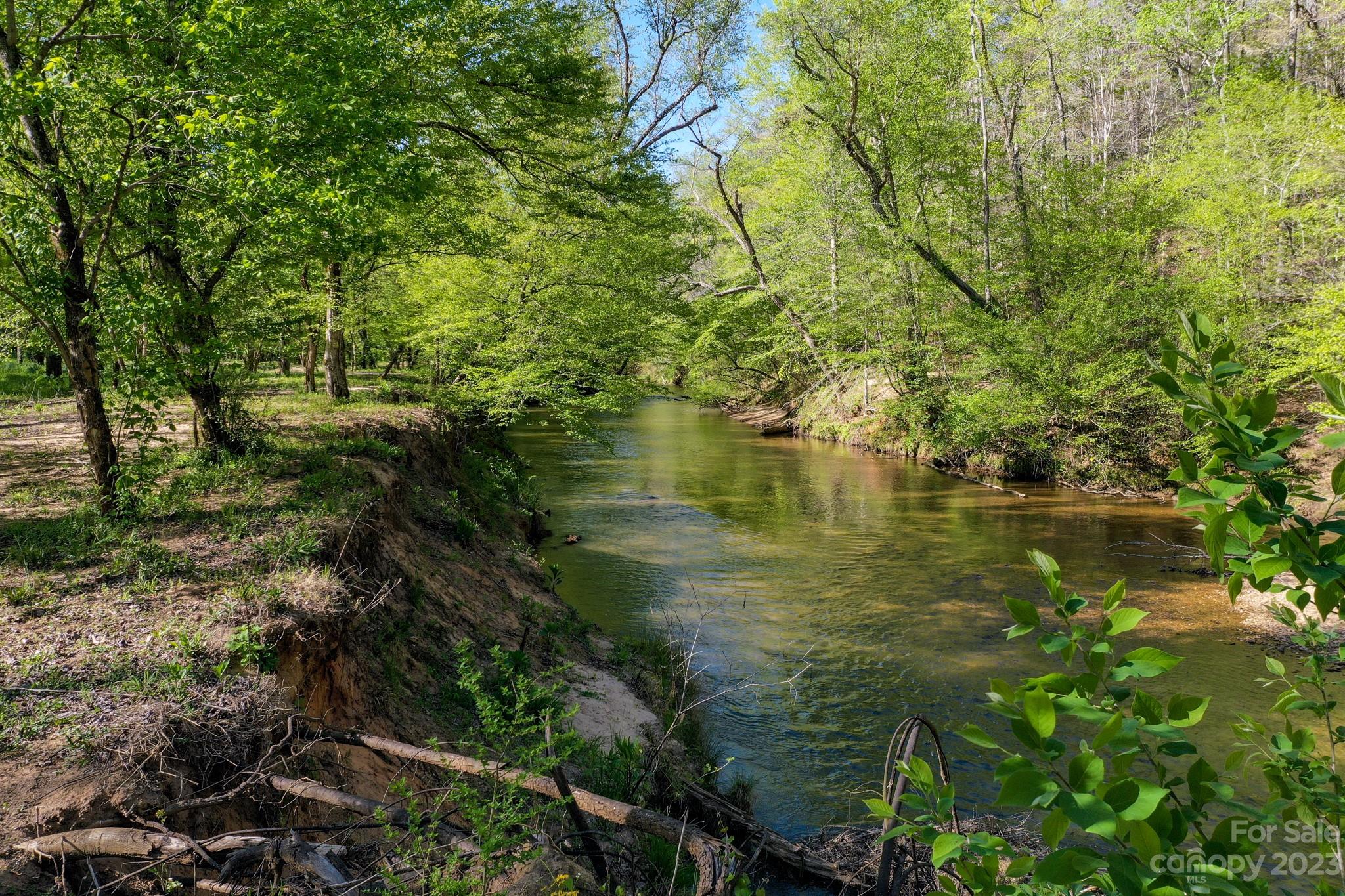 465 Calhoun Trail Rutherfordton, NC 28139 - Photo 42 of 48 a view of lake