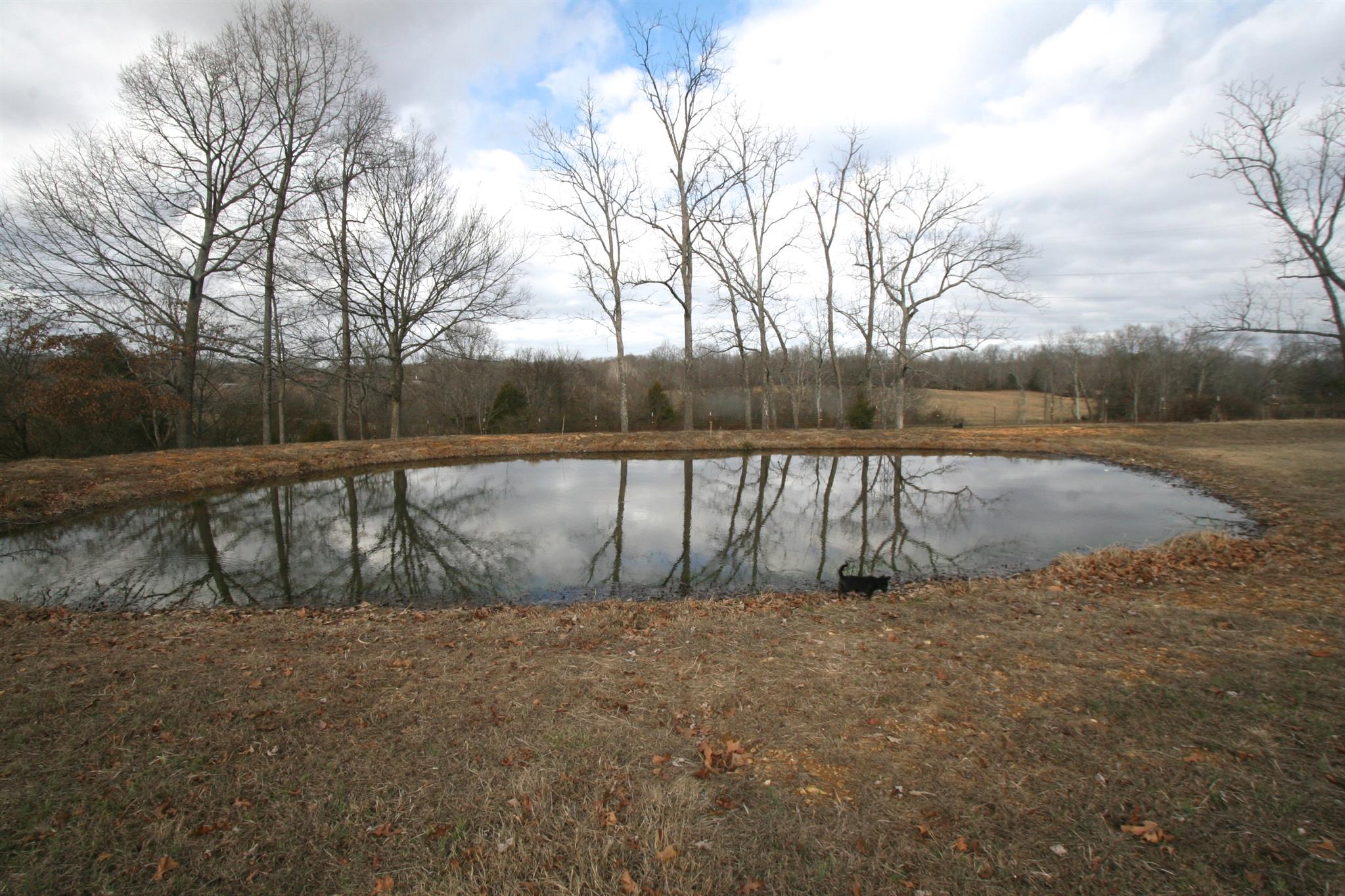 571 Powell Road Tullahoma, TN 37388 - Photo 5 of 24 Gallery Image 5
