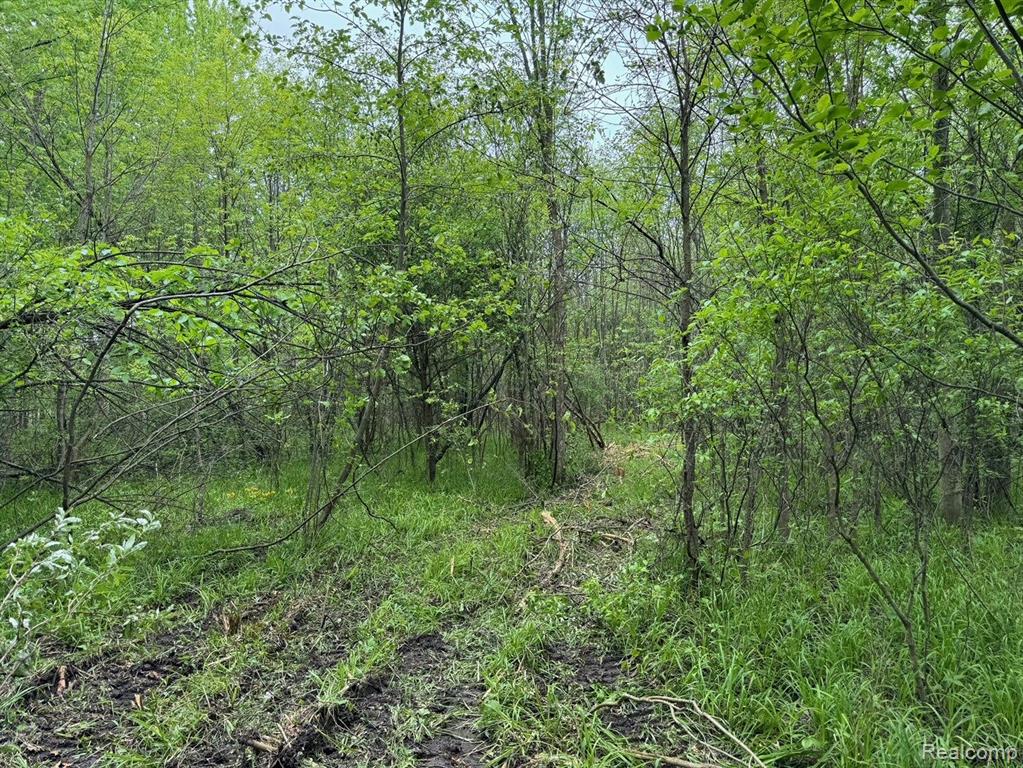 0 Davison Road Oxford, MI 48371 - Photo 30 of 35