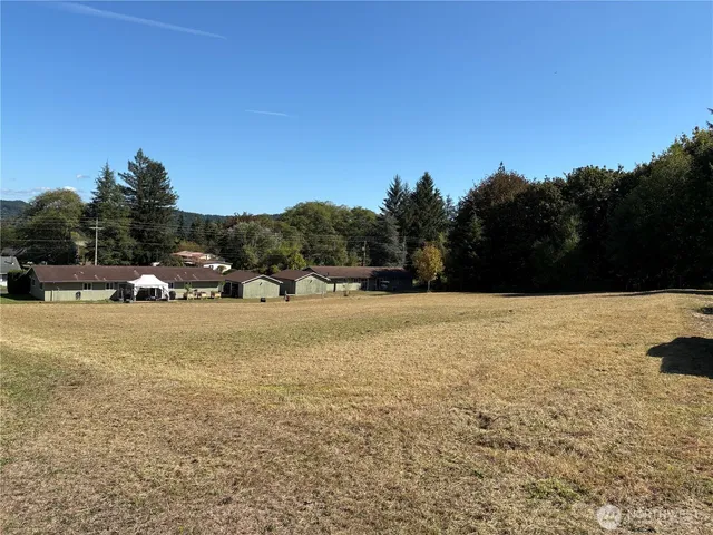 a view of outdoor space and yard