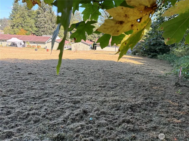 a view of a backyard of the house