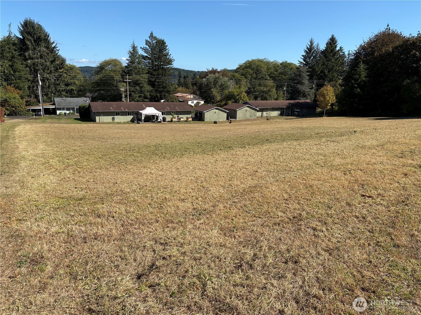 0 Clement Road Raymond, WA 98577 - Photo 4 of 4 a view of a field with trees in the background