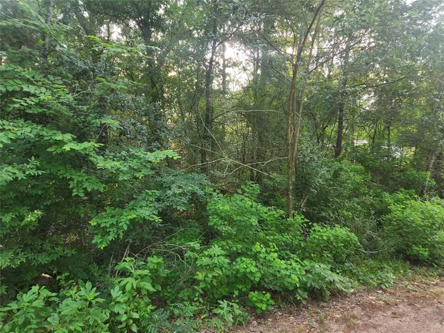 $37,000 | Lot 20 Mossy Knoll Drive, Plantersville, TX 77363