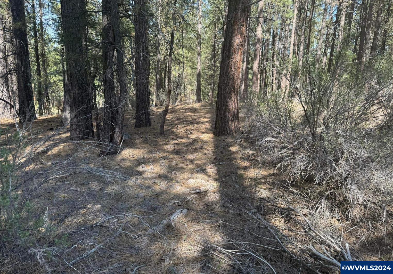 Lot 3 North Waterview Way Chiloquin, OR 97624 - Photo 3 of 8