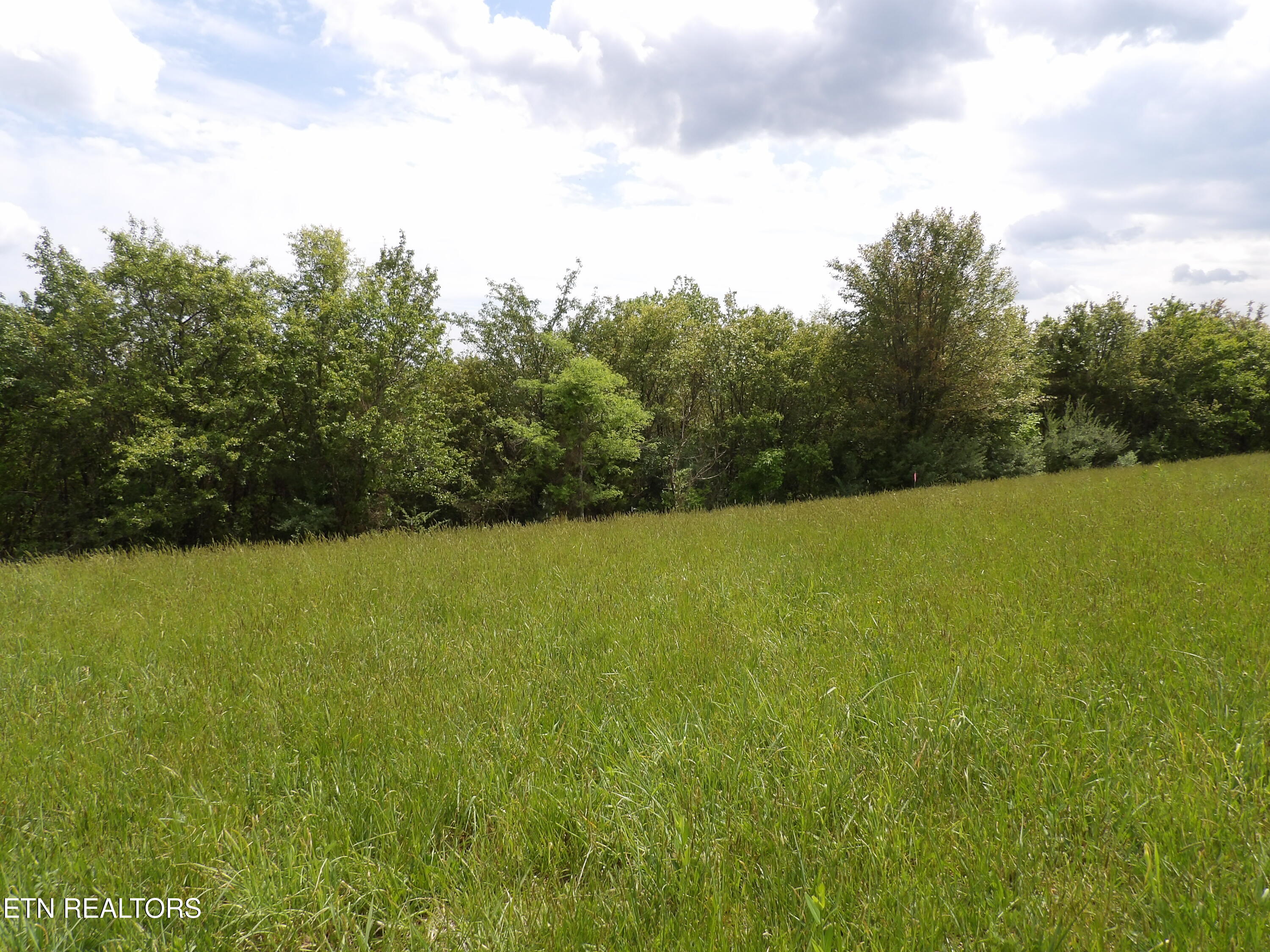 Tbd Bolton Hollow Road Harrogate, TN 37752 - Photo 15 of 18 102_2633