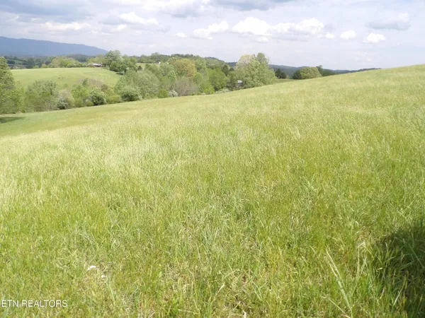 $1,500,000 | Tbd Bolton Hollow Road, Harrogate, TN 37752