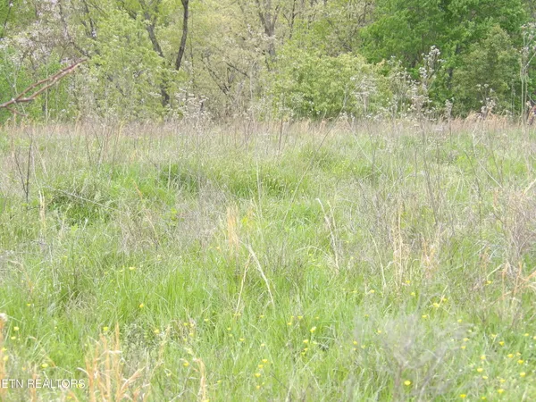 $1,500,000 | Tbd Bolton Hollow Road, Harrogate, TN 37752