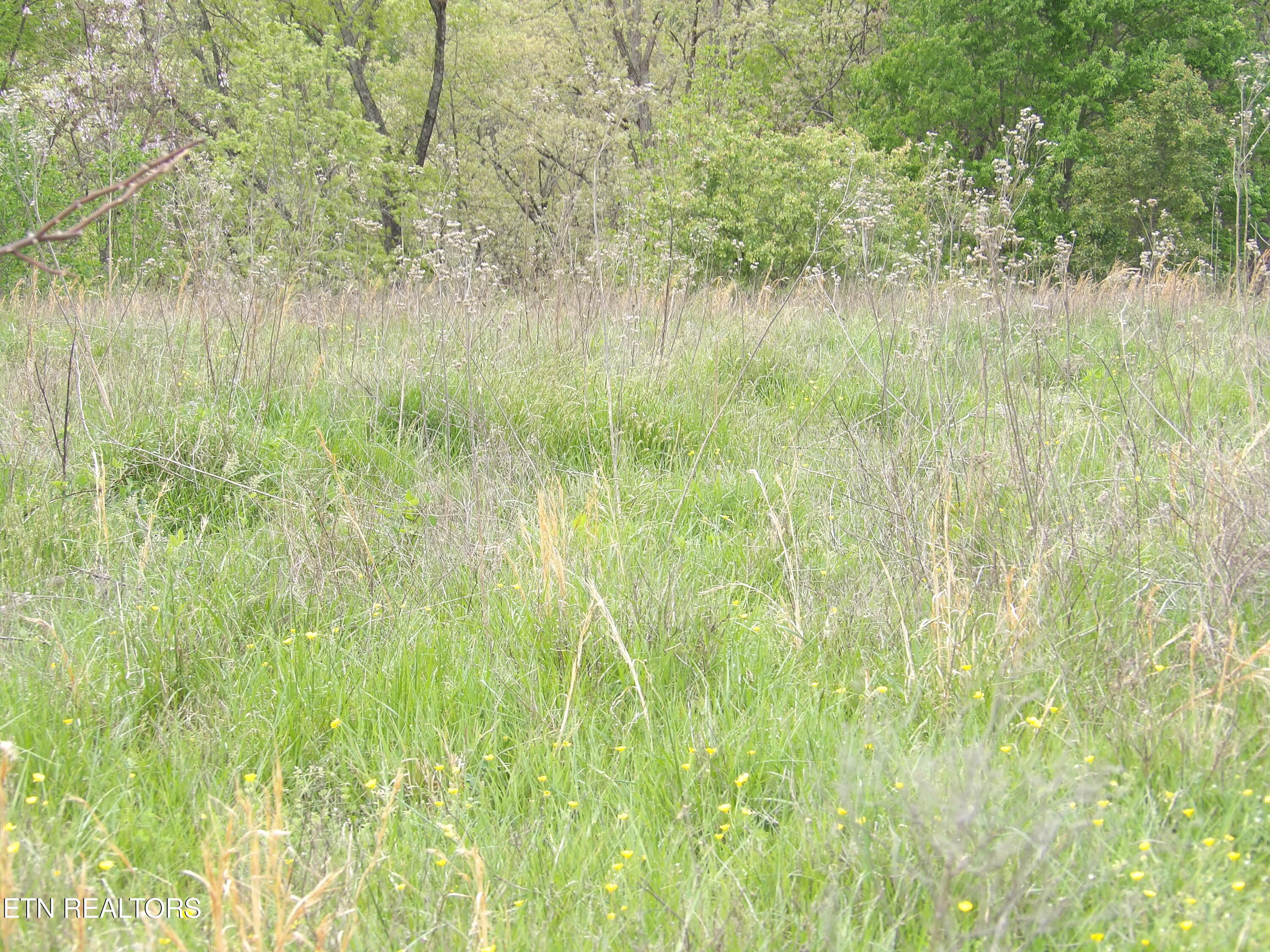 Tbd Bolton Hollow Road Harrogate, TN 37752 - Photo 18 of 18 102_2656