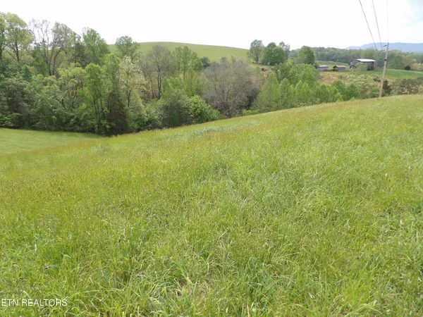 $1,500,000 | Tbd Bolton Hollow Road, Harrogate, TN 37752