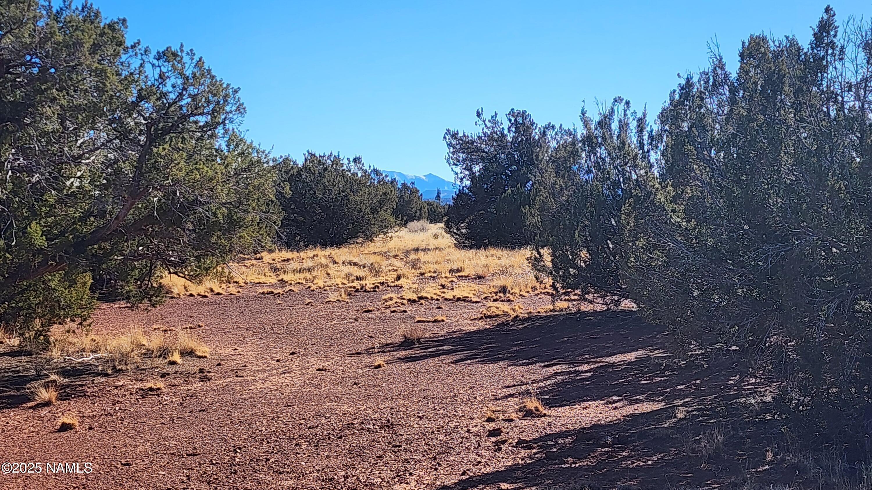 3372 East Valencia Road Williams, AZ 86046 - Photo 17 of 34 1000023816