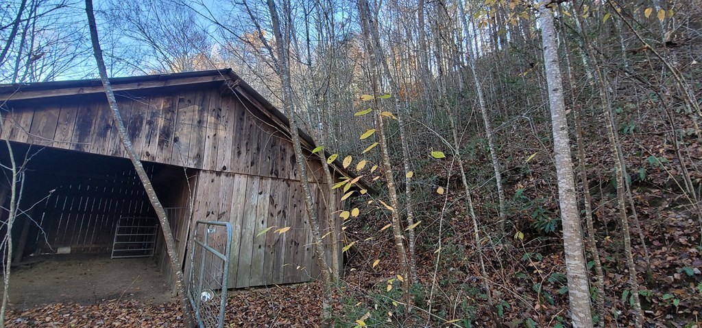 2 Wilhite Road Cosby, TN 37722 - Photo 9 of 24