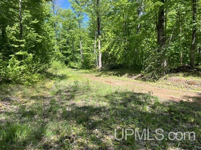 54335 Gay Road Lake Linden, MI 49945 - Photo 32 of 41
