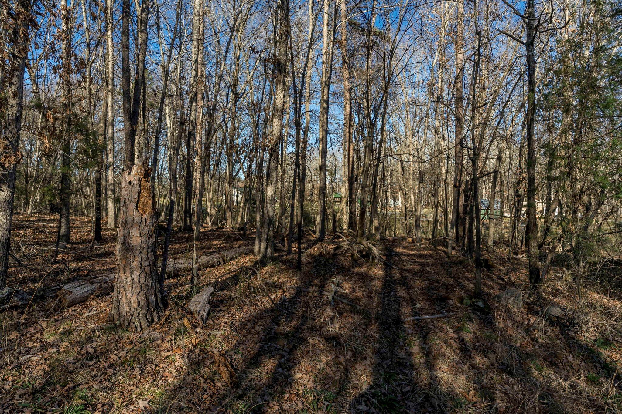 0 Lee Branch Road Waxhaw, NC 28173 - Photo 12 of 24 Gallery Image 12