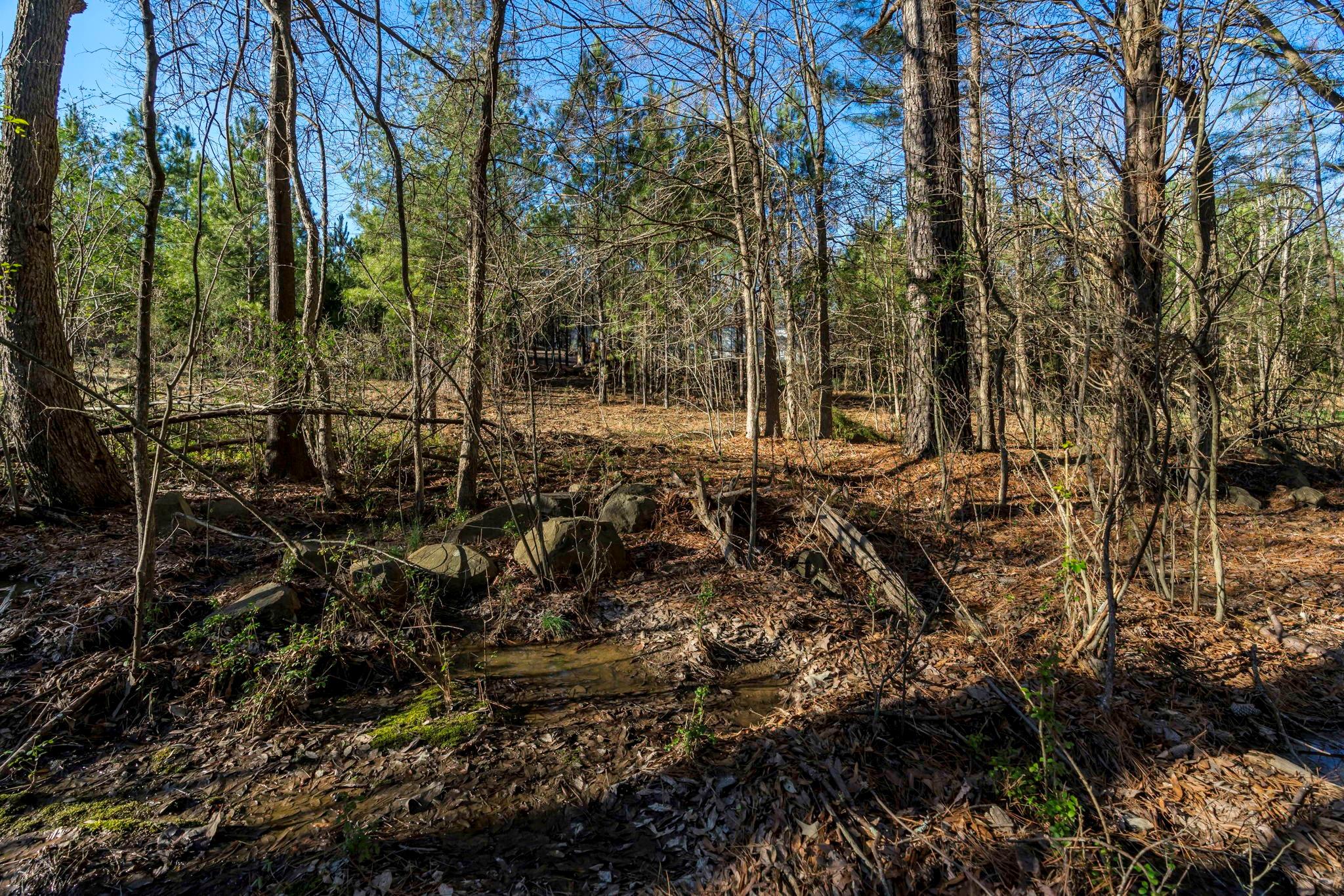 0 Lee Branch Road Waxhaw, NC 28173 - Photo 14 of 24 Gallery Image 14