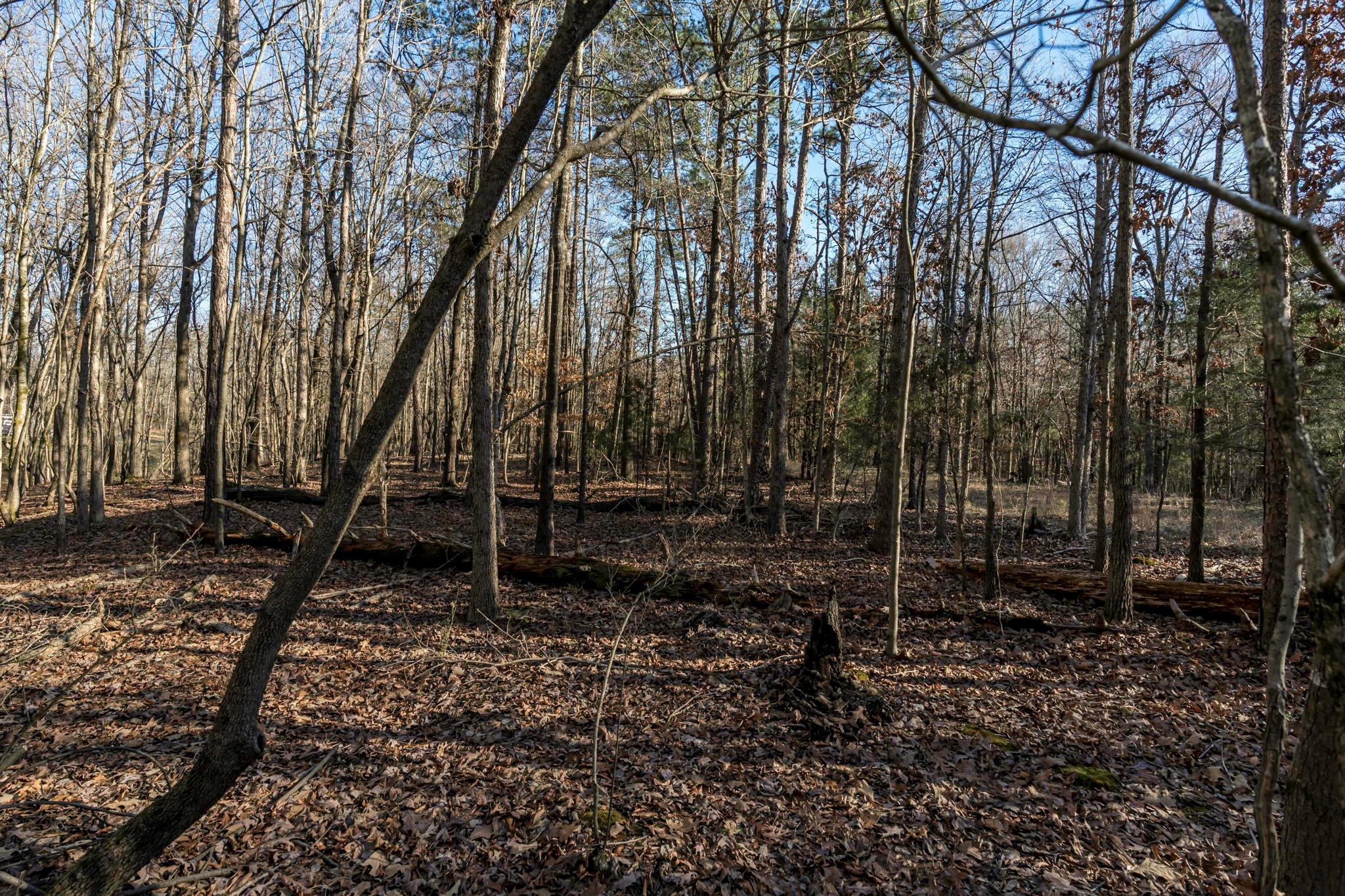 0 Lee Branch Road Waxhaw, NC 28173 - Photo 17 of 24 Gallery Image 17