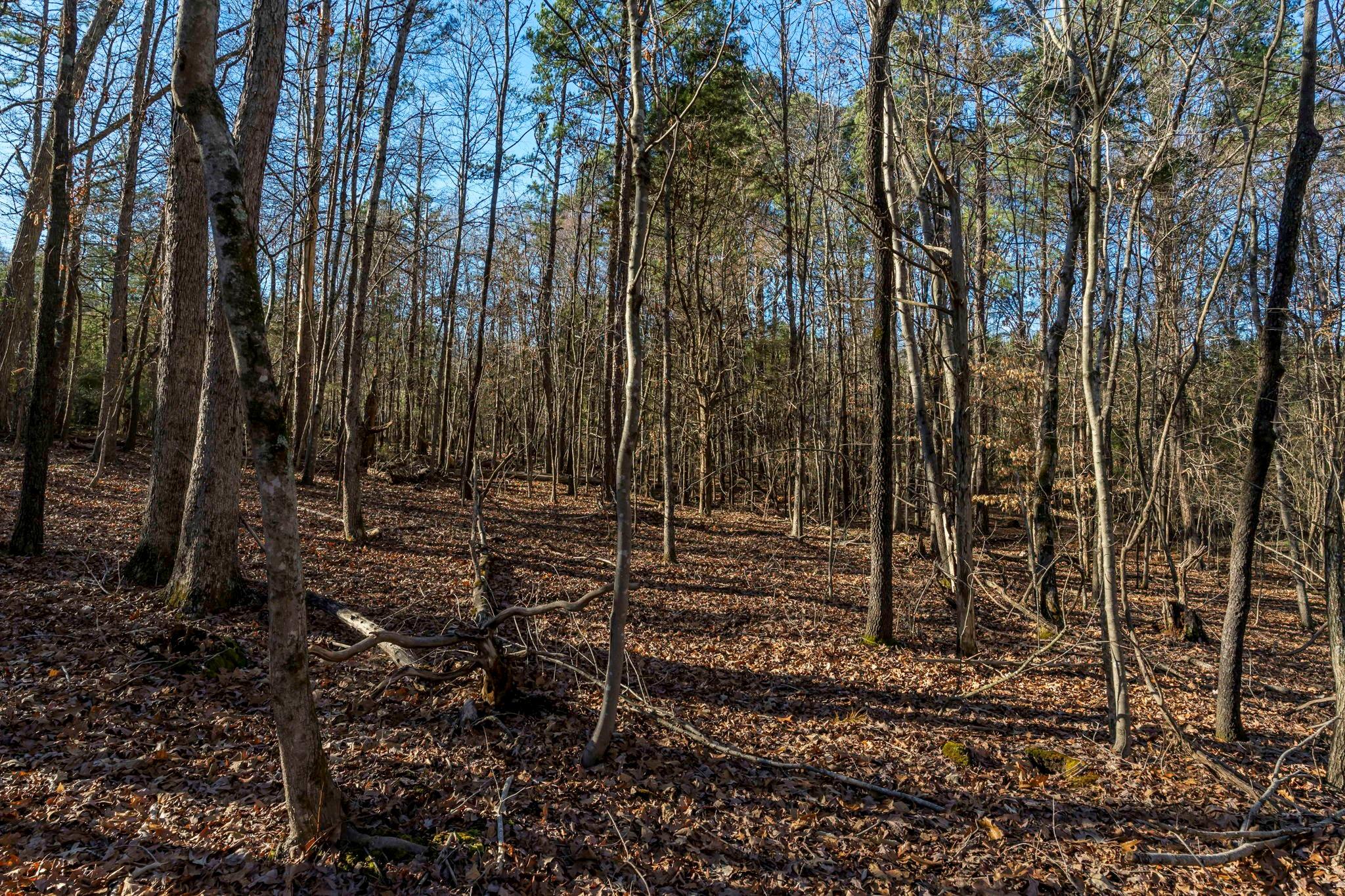 0 Lee Branch Road Waxhaw, NC 28173 - Photo 18 of 24 Gallery Image 18