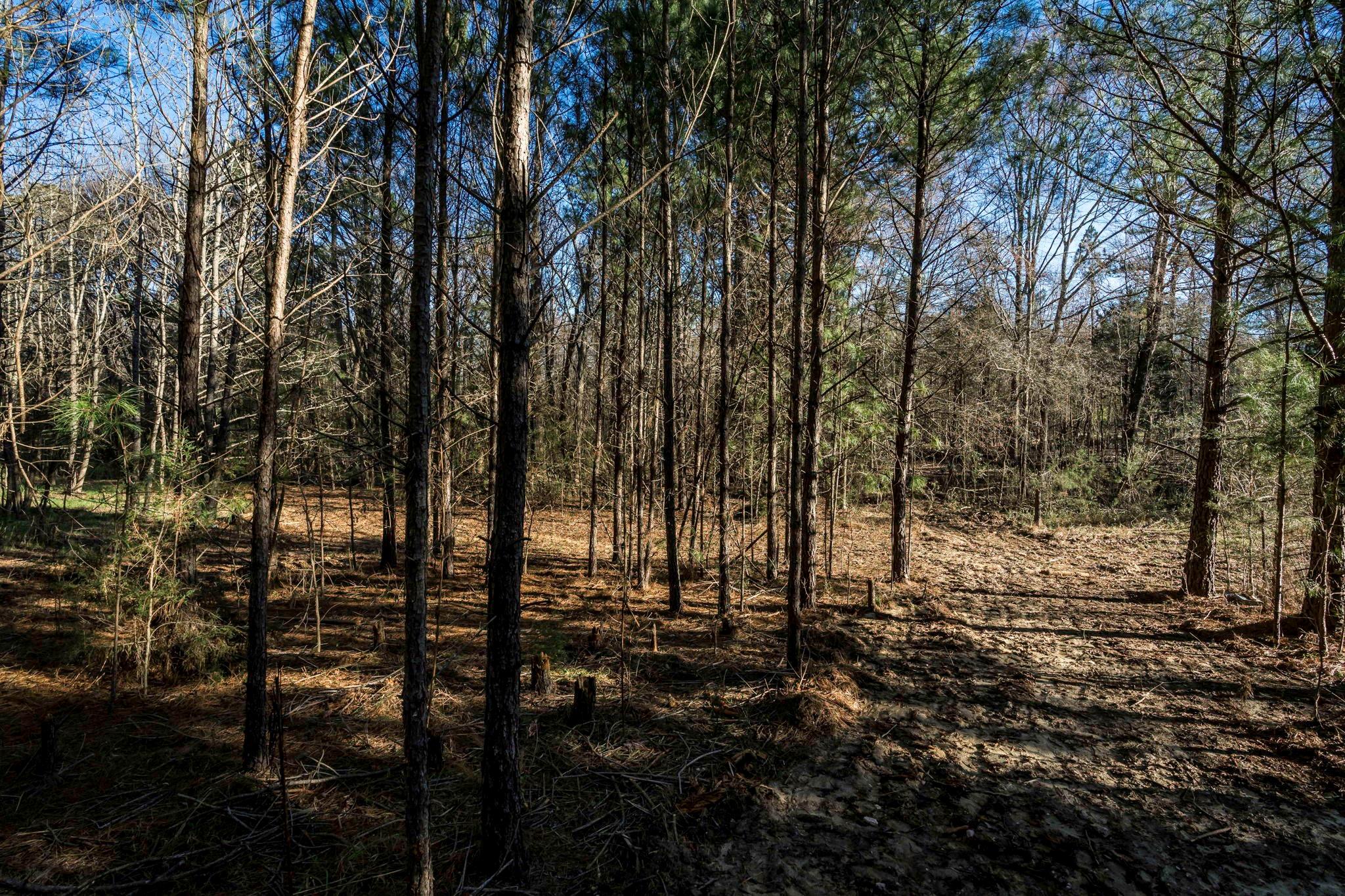 0 Lee Branch Road Waxhaw, NC 28173 - Photo 20 of 24 Gallery Image 20