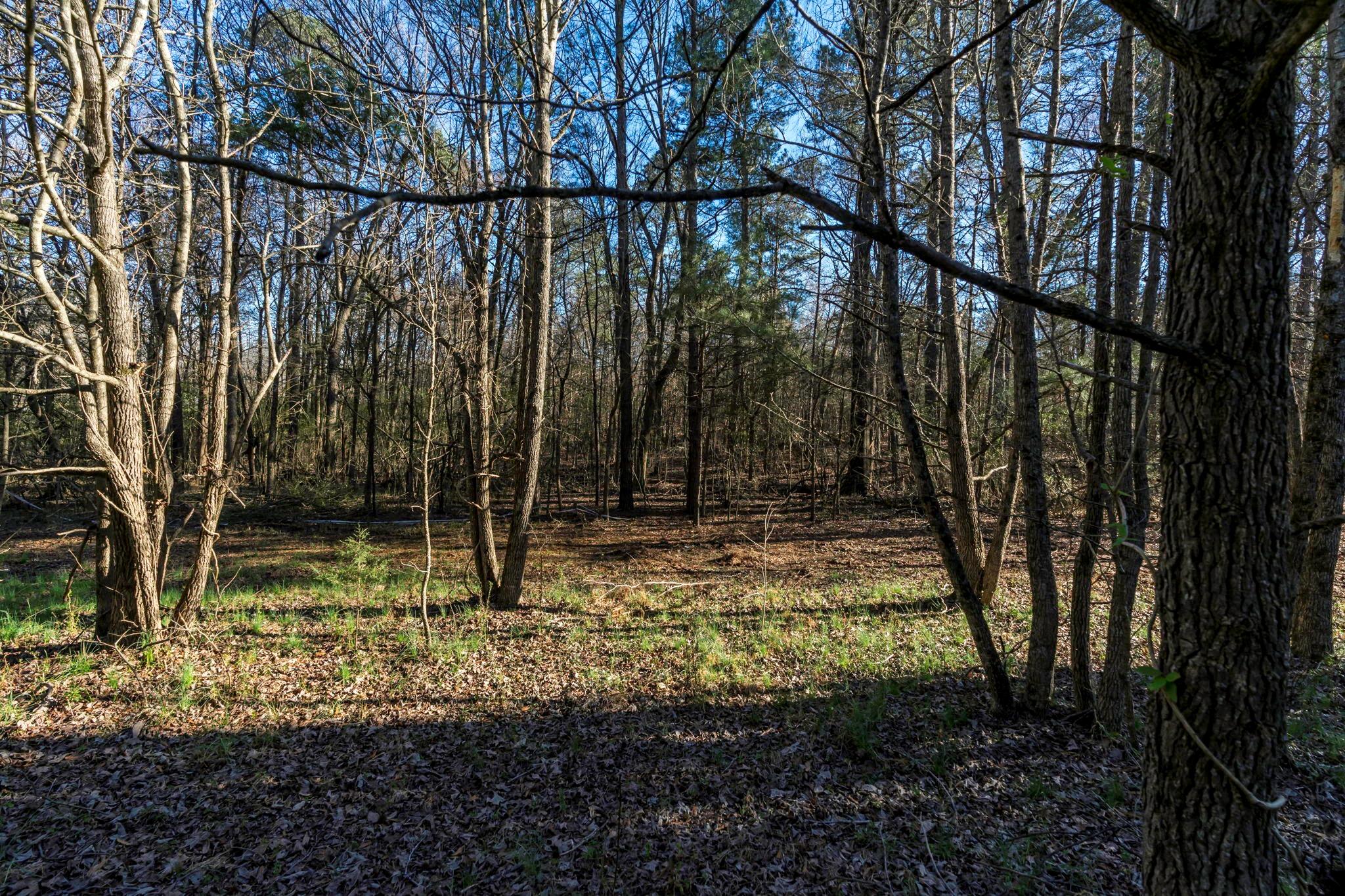 0 Lee Branch Road Waxhaw, NC 28173 - Photo 21 of 24 Gallery Image 21
