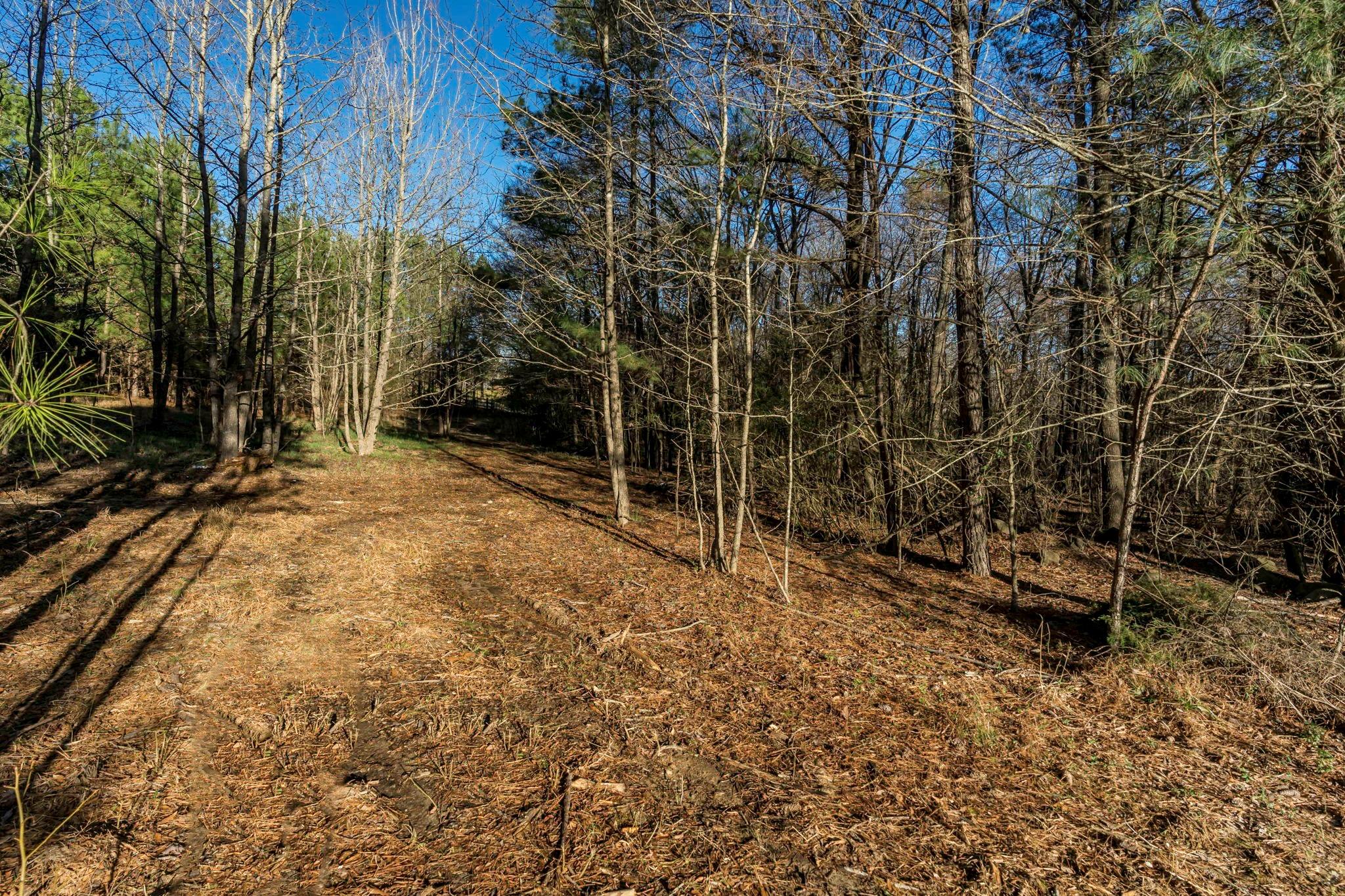 0 Lee Branch Road Waxhaw, NC 28173 - Photo 22 of 24 Gallery Image 22