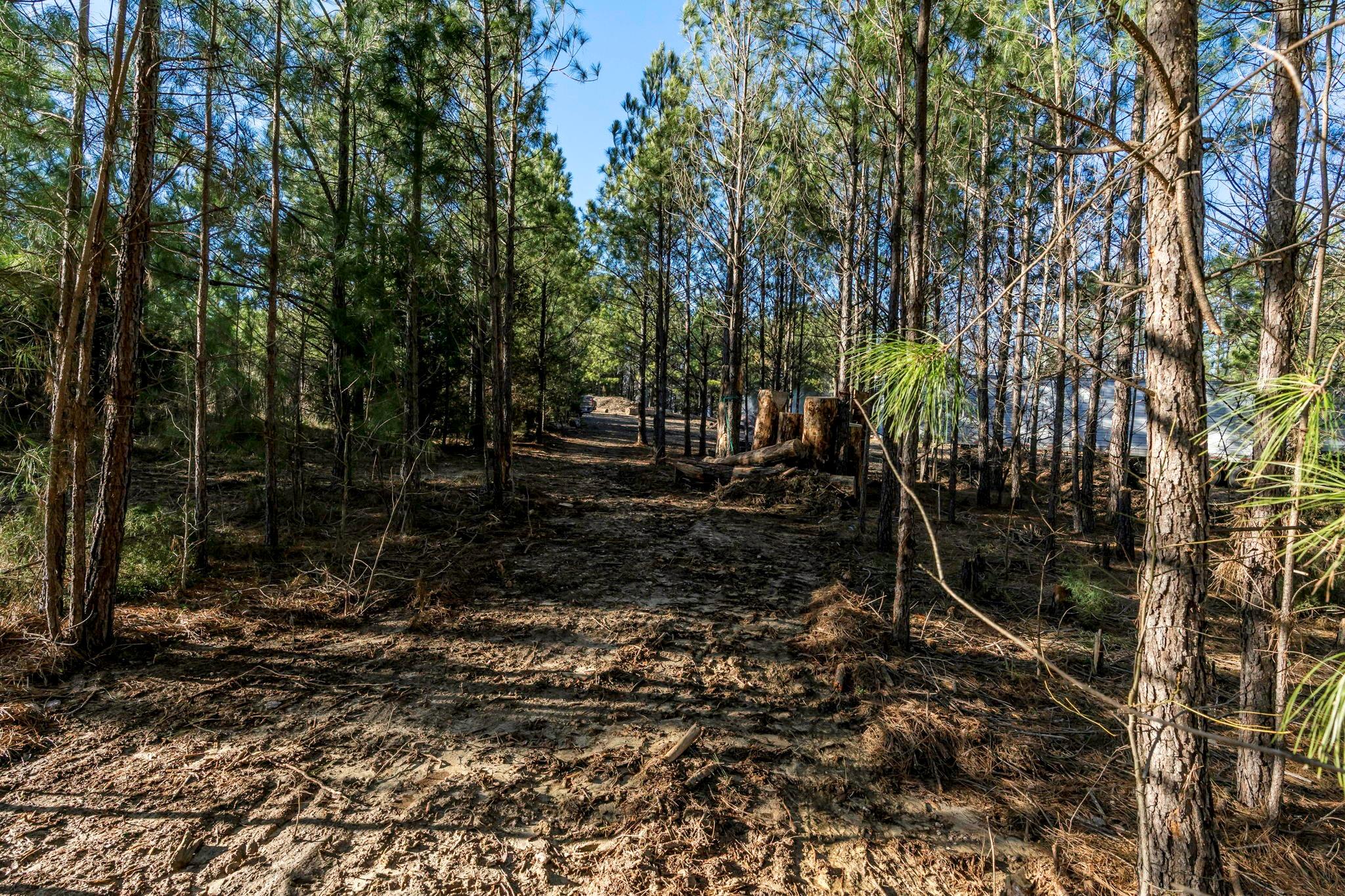 0 Lee Branch Road Waxhaw, NC 28173 - Photo 23 of 24 Gallery Image 23
