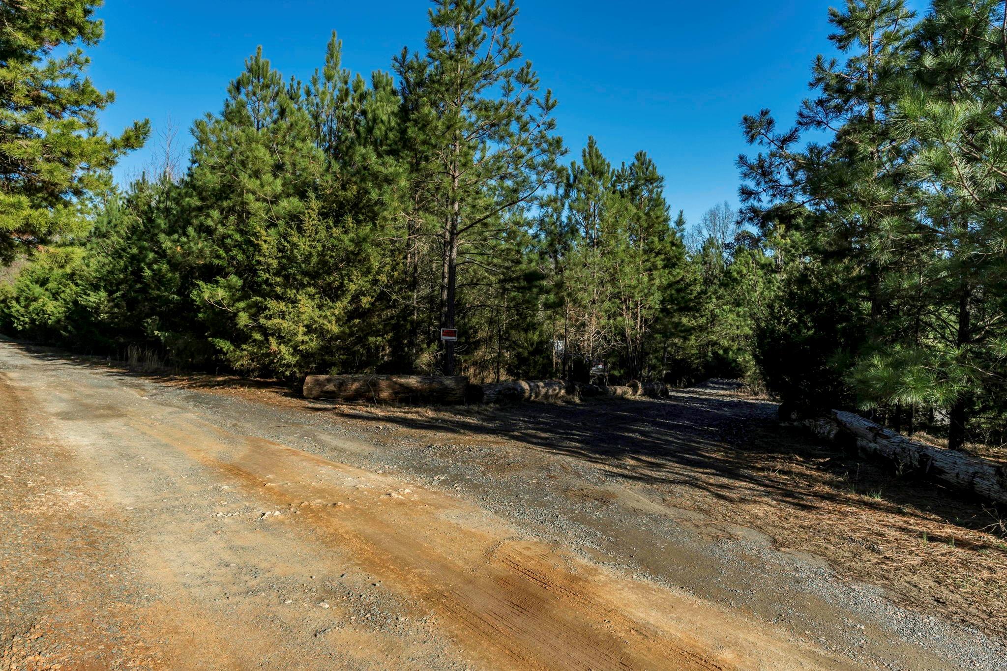 0 Lee Branch Road Waxhaw, NC 28173 - Photo 4 of 24 Gallery Image 4