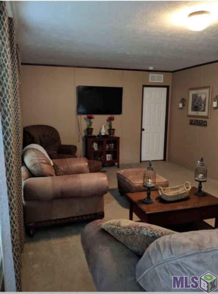 25534 South Satsuma Road Livingston, LA 70754 - Photo 4 of 5 Gallery Image 4