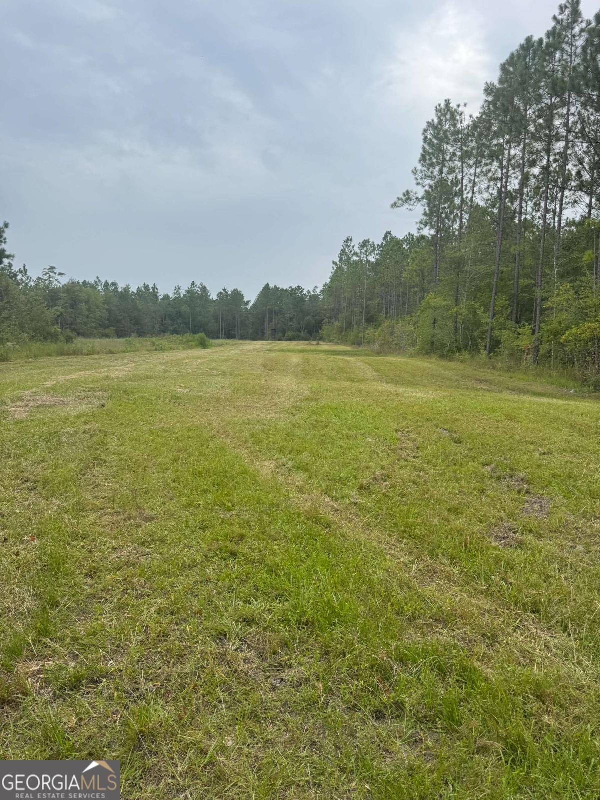 1603 Dl Durrence Road Reidsville, GA 30453 - Photo 17 of 78