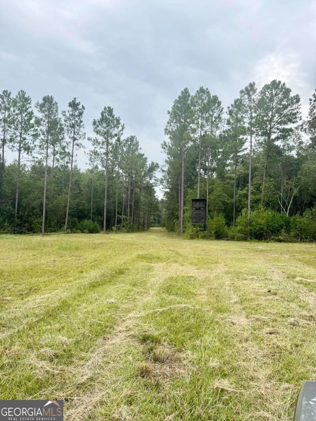 1603 Dl Durrence Road Reidsville, GA 30453 - Photo 18 of 78