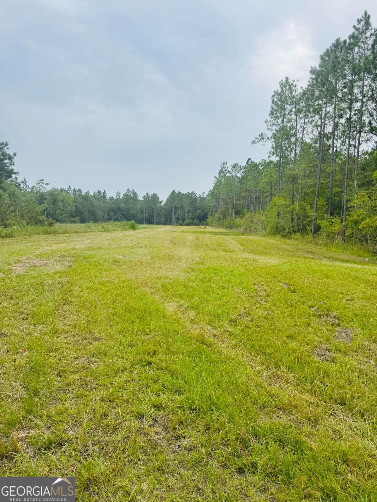 1603 Dl Durrence Road Reidsville, GA 30453 - Photo 19 of 78 a view of an ocean and beach