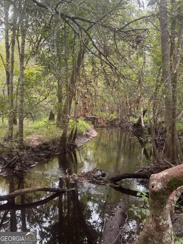 a view of a bench in the forest