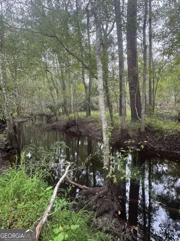 a view of outdoor space with trees all around
