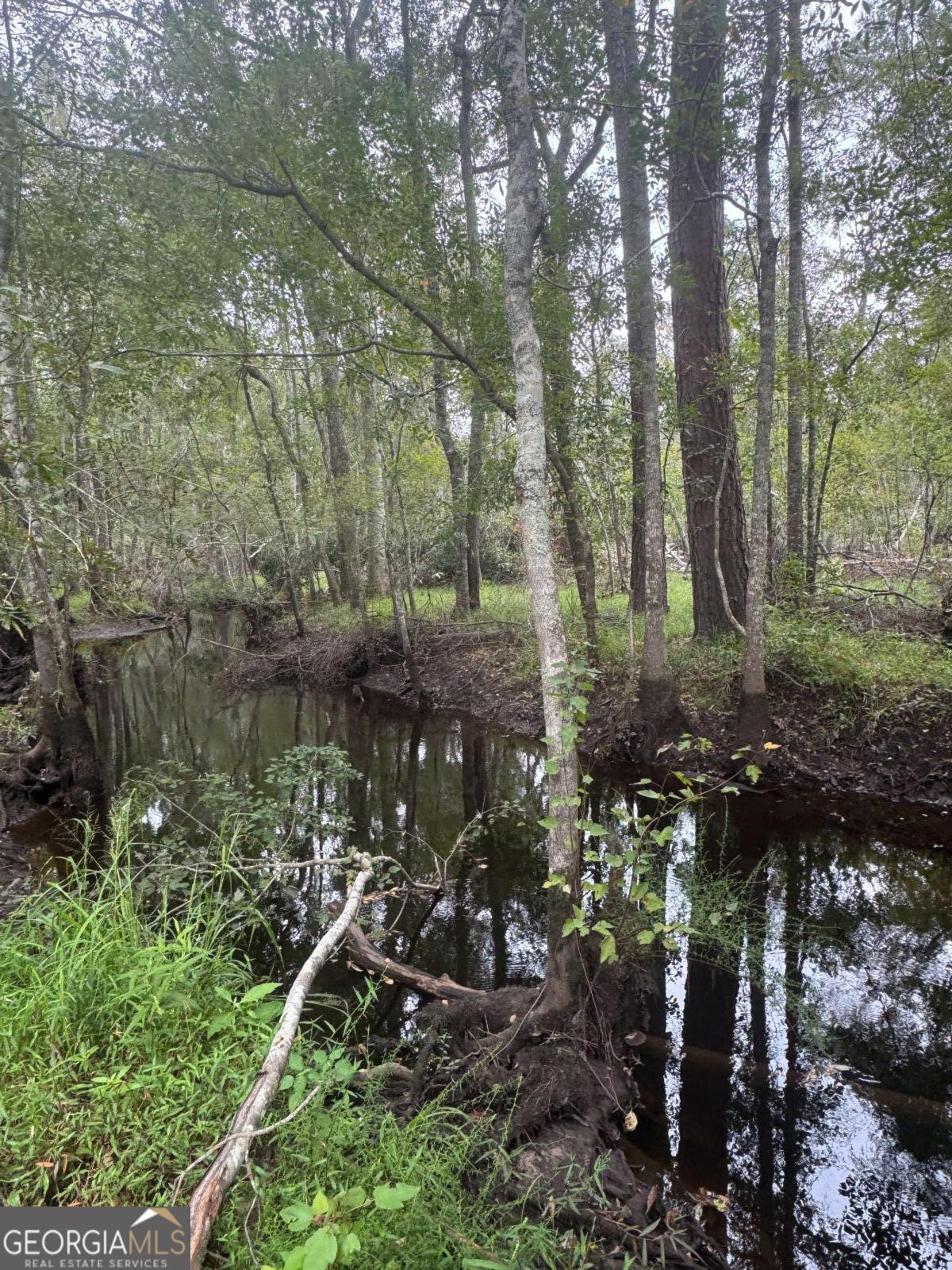 1603 Dl Durrence Road Reidsville, GA 30453 - Photo 21 of 78 a view of lake