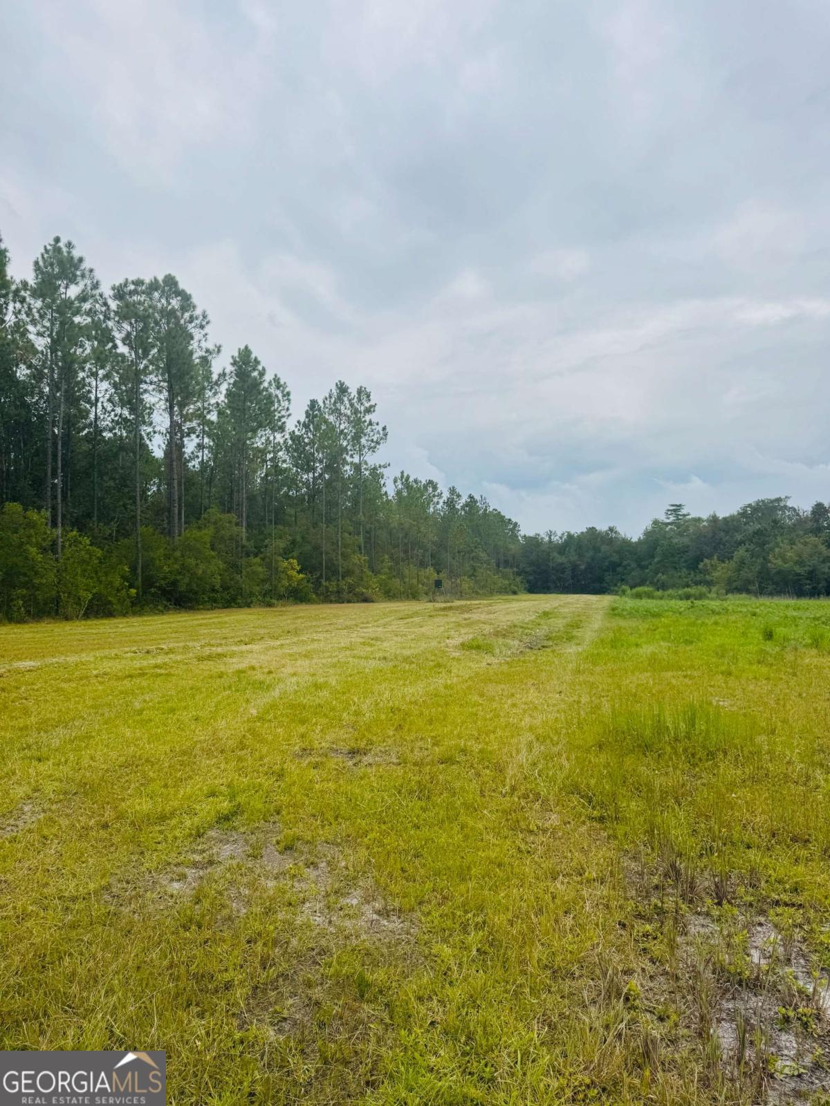1603 Dl Durrence Road Reidsville, GA 30453 - Photo 25 of 78 a view of an ocean and mountain